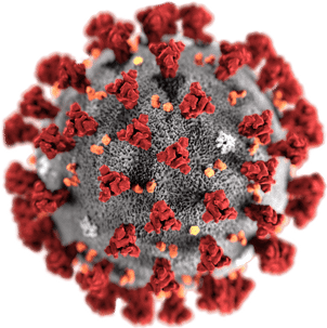 Virus